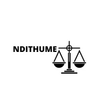 Ndithume Investments (Pty) Ltd logo - Similar company to Simnandi Education Solutions (Pty) Ltd