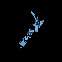 Aotearoa Plastic Pollution Alliance (Appa)