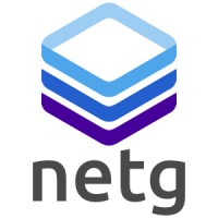 Netg logo - Similar company to Monarch Technology Solutions