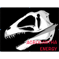 Acrocantha Energy