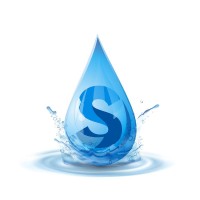 Sankhyaa Info Solutions Pvt Ltd logo - Similar company to Hellskippers Technologies Pvt. Ltd.