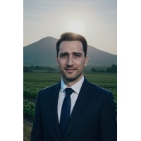 Nicolas André Borel logo - Similar company to An Independent Mortgage Solution Ltd