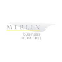 Merlin Business Consulting logo - Similar company to Smis