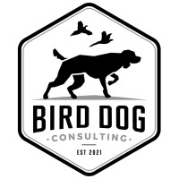 Bird Dog Innovation & Strategy Consulting logo - Similar company to Ipt Engineering Ltd