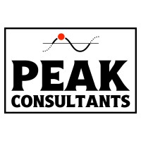Peak Consultants logo - Similar company to 3D Matters