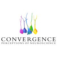 Convergence Initiative logo - Similar company to Offworld Entertainment