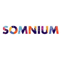 Somnium Group logo - Similar company to Puremind Digital Gmbh
