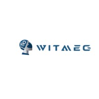 WITMEG logo - Similar company to Yn Payments