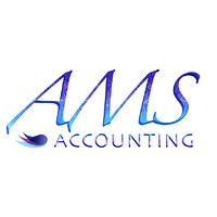 AMS Accounting logo - Similar company to Uk Multi Corp