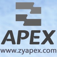 APEX INTERNATIONAL logo - Similar company to Henan Bundor Flow Control Co., Ltd