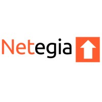 Netegia logo - Similar company to Fusap