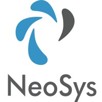 NeoSys Informatique logo - Similar company to Neosys