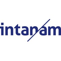 Intangible Asset Management logo - Similar company to Intangible Assets, Llc