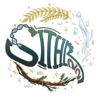 SITH-R ITB 2022 logo - Similar company to Sith-R Itb 2021