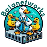 Bata Networks logo - Similar company to Justicenow