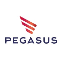 Pegasus Yachts Türkiye logo - Similar company to Cnb