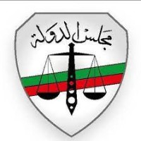 Egyptian Council of State logo - Similar company to In Depth Business Consultant