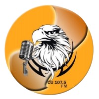 CU 107.5 FM logo - Similar company to C - Perceptions