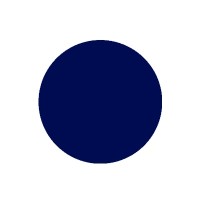 DI logo - Similar company to Digital Innovation Blue
