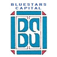 Bluestars Capital logo - Similar company to Rawasi Financial Solution