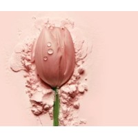 Cosmetics Alliance logo - Similar company to Cosmetics Import