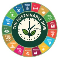 The Sustainable Business Now Iniative logo - Similar company to Denham And Grey