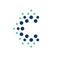 CyberNas logo - Similar company to Netlabs Consultancy Llc