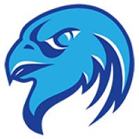 Shahin Dideban logo - Similar company to Vanific