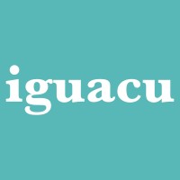 iguacu logo - Similar company to Centre For The Study Of Financial Innovation