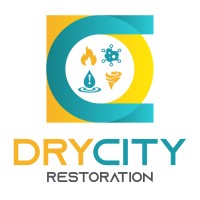 DryCity Restoration logo - Similar company to Saltwater Grande
