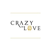 .Crazy in Love. logo - Similar company to Msht