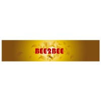Bee2Bee Holding Private Limited logo - Similar company to Trade2Transform