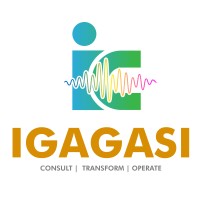 Igagasi Consulting logo - Similar company to Meerkat Energy