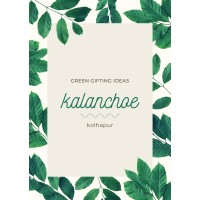 Green Gifts Kolhapur logo - Similar company to Excel Computers Kolhapur