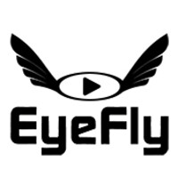 EyeFly logo - Similar company to Eyefly Technologies