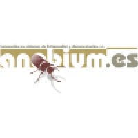 Anobium