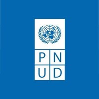 UNDP Haiti logo - Similar company to Konekte World🌎♻️