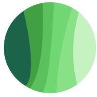 Dorsality logo - Similar company to Bmdi