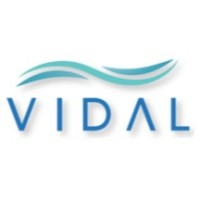Vidal Solution logo - Similar company to Smartrx Pte Ltd