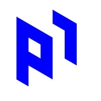 Protocol One logo - Similar company to Webcap Digitals