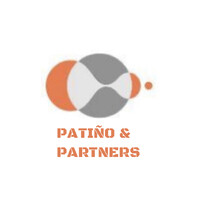 Patiño & Partners, SC Empresa Venezolana . logo - Similar company to Multimarcas De Occidente C.A.