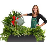 Office Plants by Everything Grows logo - Similar company to Carbone Studio, Inc.