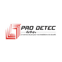 PRO DETEC logo - Similar company to Edimelec