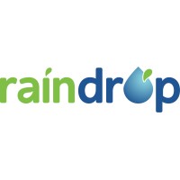 Get RainDrop logo - Similar company to Community Spark Solutions