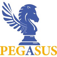 Pegasus Consulting Be