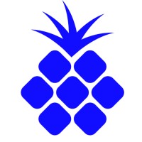 bluepineapple logo - Similar company to Chainworks