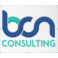 BCN Consulting logo - Similar company to N3Xtwave