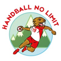 Handball No Limit logo - Similar company to Handball Coaching