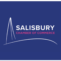 Salisbury & District Chamber Of Commerce and Industry logo - Similar company to Solar Vision Uk