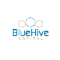 BlueHive Capital logo - Similar company to Quantology Capital Management